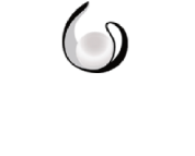 Pearl Limo Party Bus